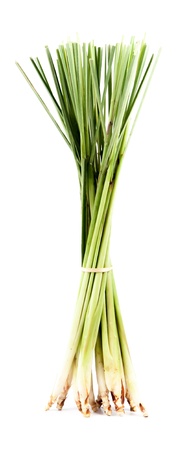 Lemon grass on white backgroundの写真素材