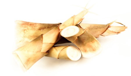 Bamboo shoot on white backgroundの写真素材
