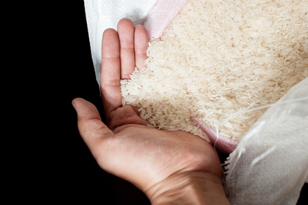 thai jasmine rice on handの写真素材