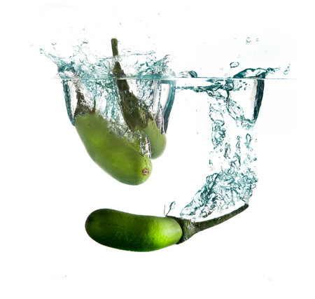 aubergine in water splashの写真素材
