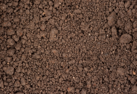 Soil backgroundの写真素材