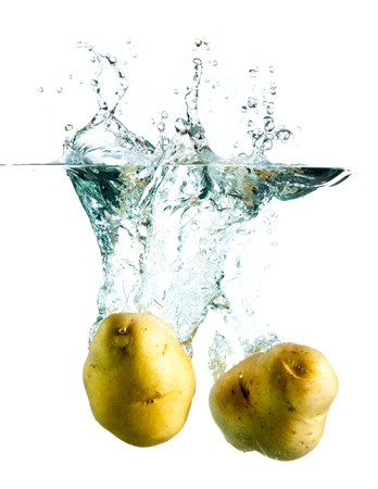 potatoes splashing into water against a whiteの写真素材