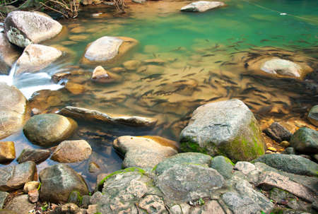 Waterfall in national park Chanthaburi , thailandの写真素材