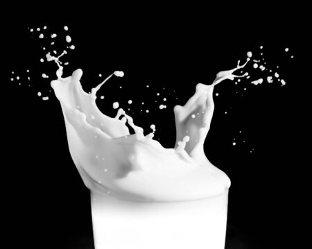 milk splashing from the glassの写真素材