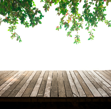 empty wooden floor isolated on whiteの写真素材
