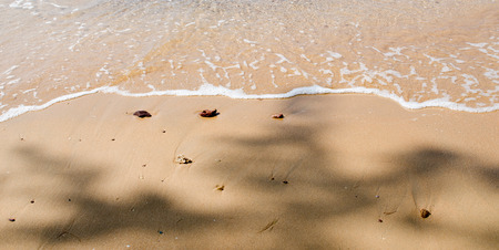 Wave of the sea on the sand beachの写真素材