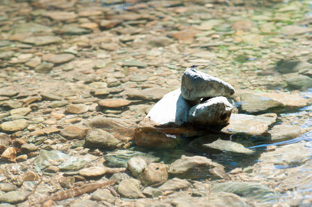 Stones under water. Background.