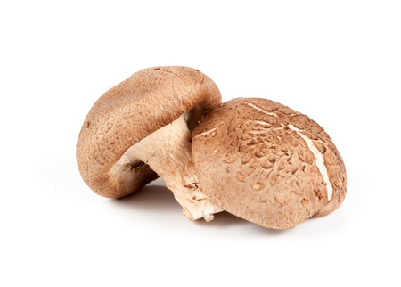 fresh mushroom champignon isolated on white backgroundの写真素材