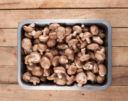 Mushroom Boletus over Wooden Background. Autumn Cep Mushroomsの写真素材