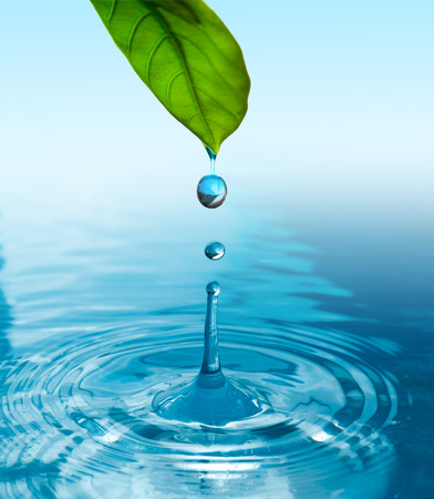 green leaf with water drop ans splash isolated o whiteの写真素材