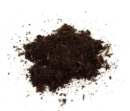 Soil backgroundの写真素材