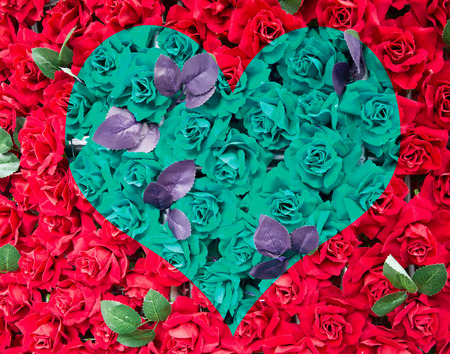 Natural red roses backgroundの写真素材