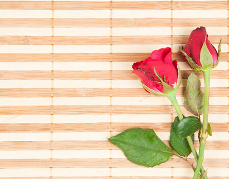 red rose on a wood backgroundの写真素材
