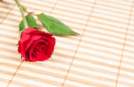 red rose on a wood backgroundの写真素材