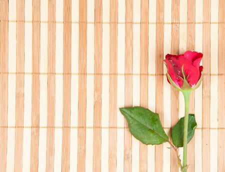 red rose on a wood backgroundの写真素材