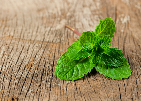 Fresh mint on wooden backgroundの写真素材