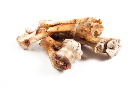 Bone isolated on white background