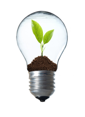 Light Bulb with sprout insideの写真素材