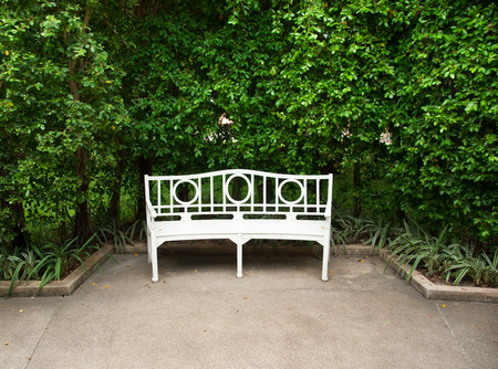 White bench with the bush Backgroundの写真素材