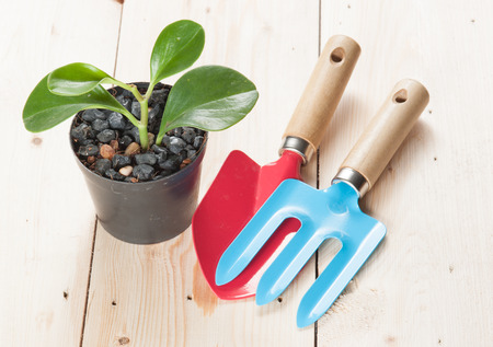 Gardening tools on wooden backgroundの写真素材
