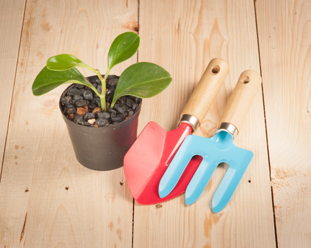 Gardening tools on wooden backgroundの写真素材