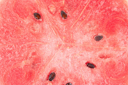 Close up red watermelonの写真素材