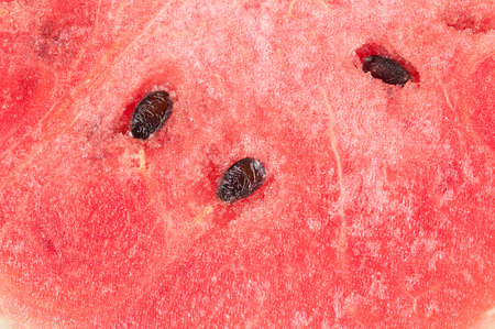 Close up red watermelonの写真素材