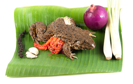 chop frog ready to eat ,Thailandの写真素材