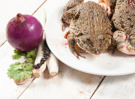 chop frog ready to eat on wood,Thailandの写真素材