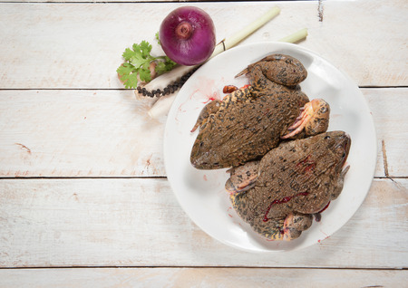 chop frog ready to eat on wood,Thailandの写真素材