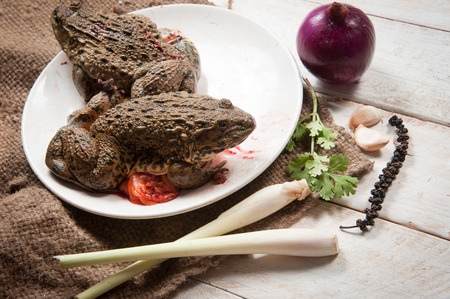 chop frog ready to eat on wood,Thailandの写真素材