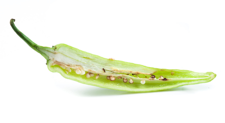 Hot Pepper on white backgroundの写真素材