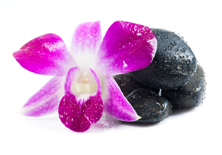 stones and orchid on the white の写真素材