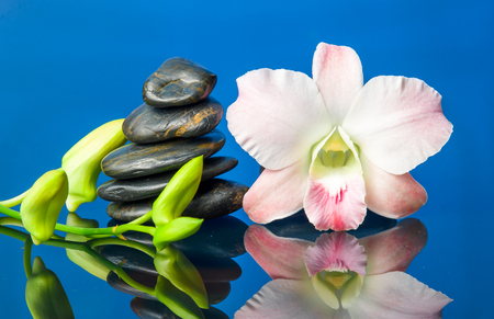 orchid and hot stones Wellness and Spa Imageの写真素材