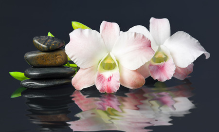 orchid and hot stones Wellness and Spa Image,dark の写真素材