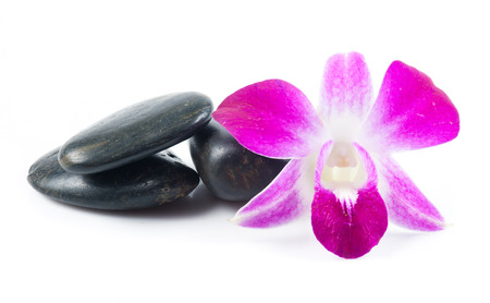 stones and orchid on the white backgroundの写真素材