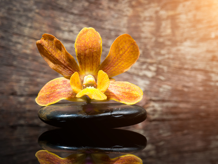 spa concept zen stones and orchid on wood の写真素材