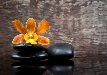 spa concept zen stones and orchid on wood の写真素材