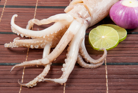 fresh squid with lemon on woodの写真素材