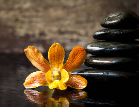 spa concept zen stones and orchid on wood の写真素材