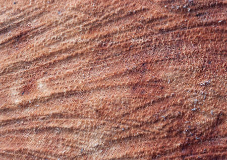 wooden texture (as background).