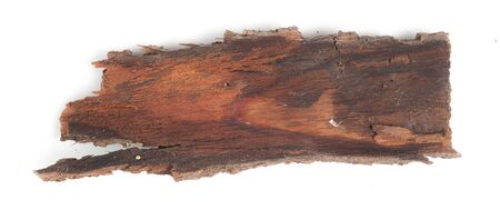 Wooden dry sliver firewood bark isolated on white background