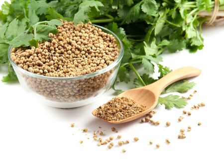 Coriander Leaves And Seeds in jars and on whiteの写真素材