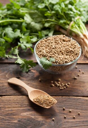 Coriander Leaves And Seeds in jars and on woodの写真素材