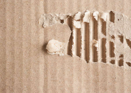 Ripped Grungy Cardboard Backgroundの写真素材