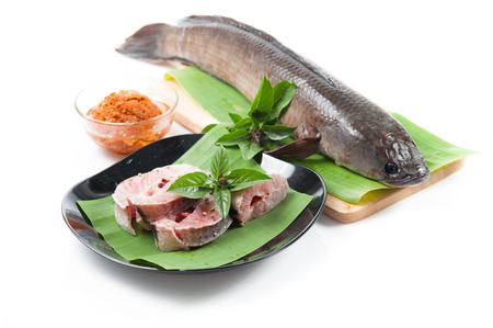 fish meat and Giant snakehead fish with spicesの写真素材