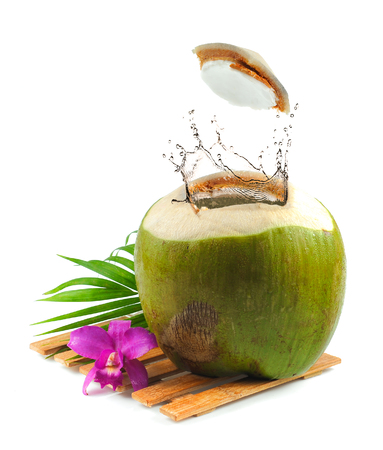 Fresh Coconut with water splash on white backgroundの写真素材