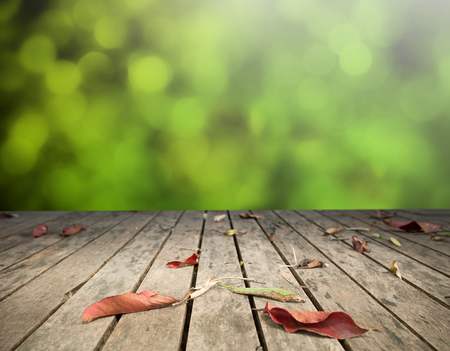 Perspective wood over blur trees with bokeh backgroundの写真素材