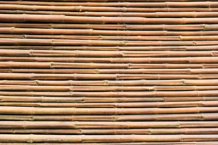 bamboo textureの写真素材