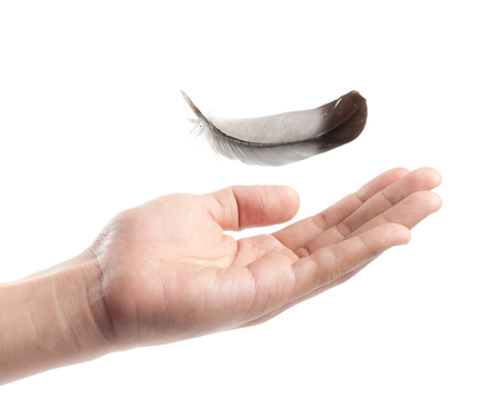 Flying gray with hand on white backgroundの写真素材